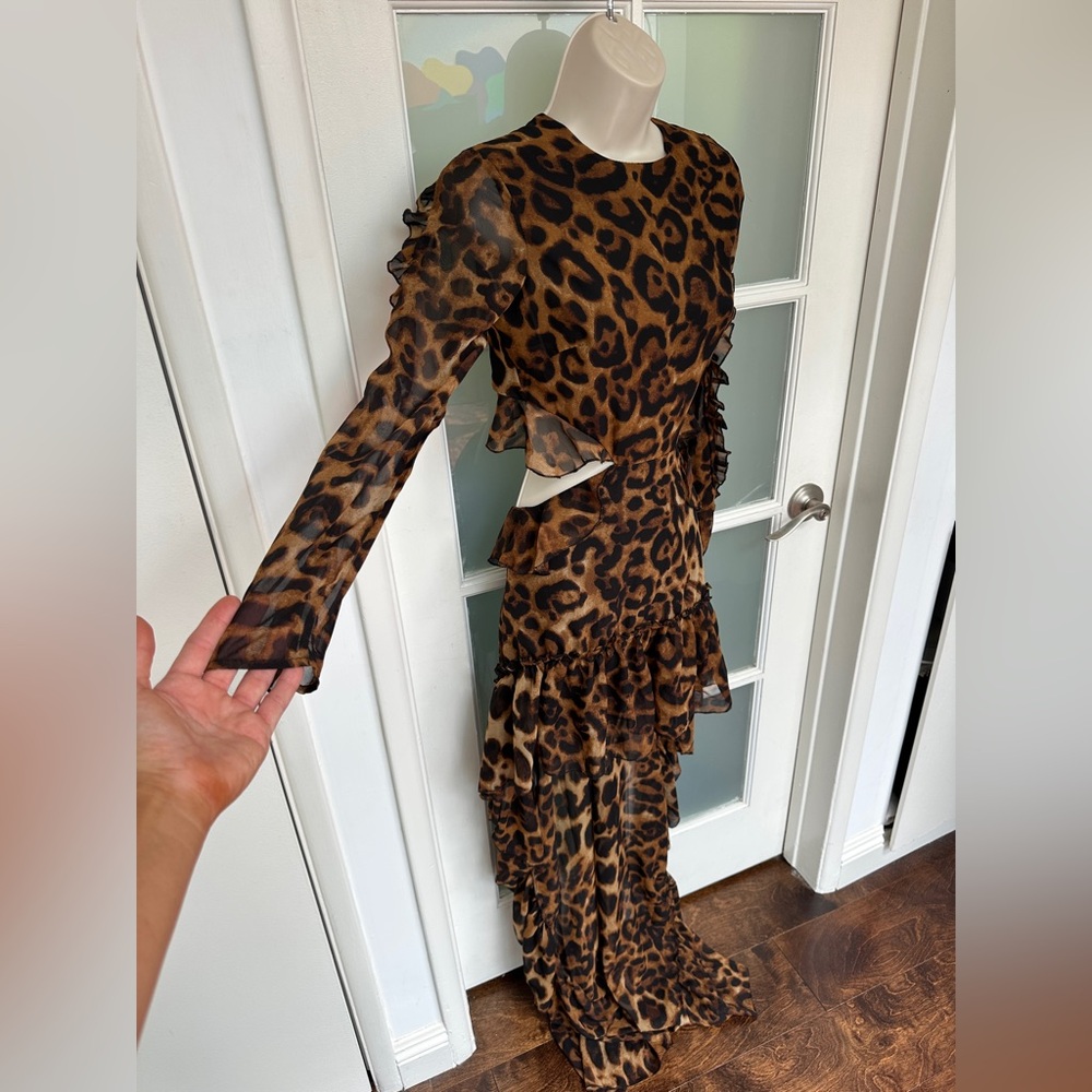 Leopard maxi dress - Picture 3 of 6